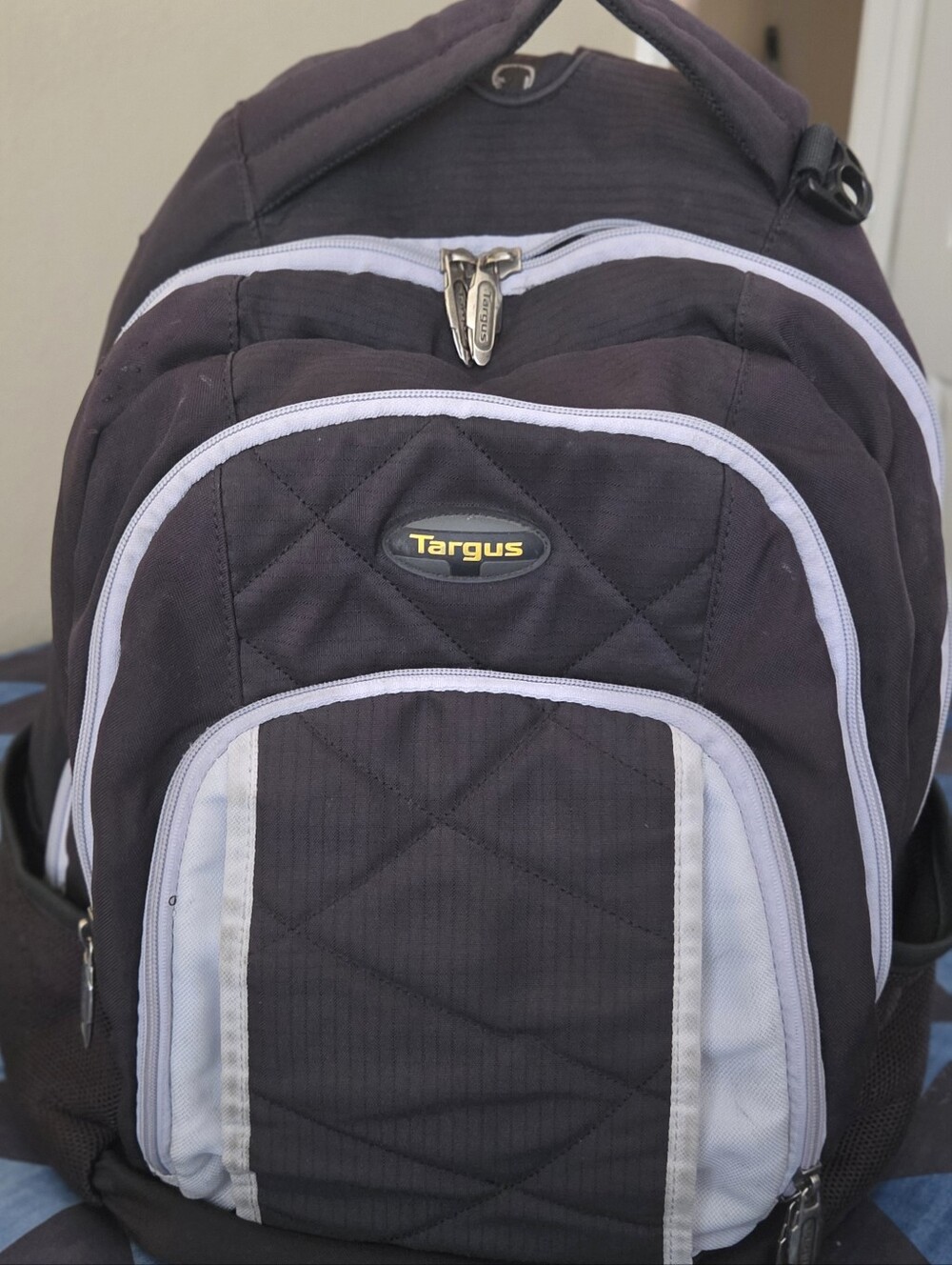 Targus Black with Light Gray Trim Backpack